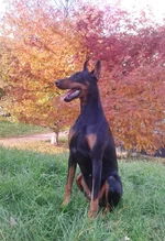 2013-10-12 10.19.14.jpg