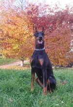 2013-10-12 10.19.05.jpg