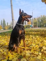 2013-10-12 10.15.31.webp