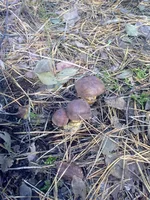 101020131193.webp