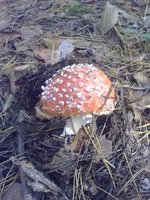 101020131194.webp