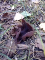 101020131197.webp