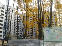 2013-10-12 12.22.26.webp