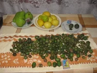  урожай 001_640x480.webp