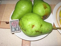  урожай 005_640x480.webp