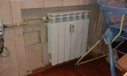 IMAG0300.webp