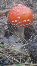 2013-10-13-1036.jpg