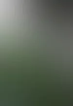 -1.webp