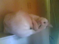 23072013(001).webp