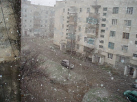 windowview.png