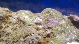 WP_20131008_001.webp