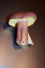 DSC_0901.webp DSC_0901.webp