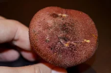 DSC_0904.webp DSC_0904.webp