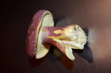 DSC_0905.webp DSC_0905.webp