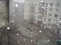 wv_original.webp