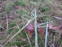 2013-10-16 12.40.24.webp