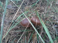 2013-10-16 12.48.13.webp