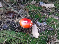 2013-10-16 13.00.25.webp