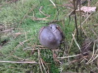 2013-10-16 13.01.12.webp