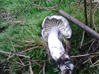 2013-10-16 13.01.45.webp