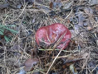 2013-10-16 13.22.30.webp