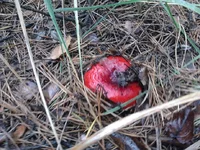 2013-10-16 13.22.38.webp