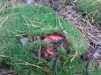 2013-10-16 13.32.32.webp