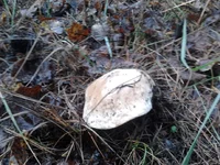 2013-10-16 14.06.47.webp