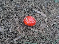 2013-09-29 09.14.33.webp