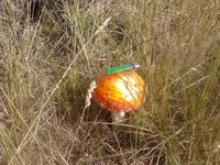 2013-09-29 11.25.28.webp