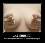 115282.webp