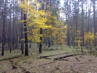 17102013667.jpg