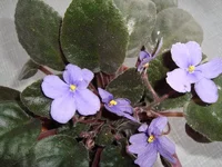DSC04155.webp
