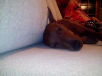 IMG_20130811_004241.jpg