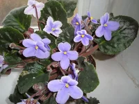 DSC04149.webp
