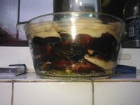 WP_000741.jpg