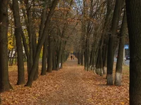100_4756.webp