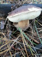 20131020_073417.jpg