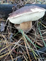 20131020_073417.webp