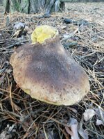 20131020_080230.jpg