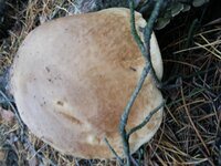 20131020_081630.jpg