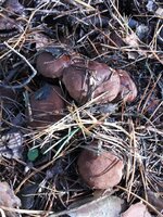 20131020_094836.jpg