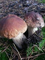 20131020_095049.jpg