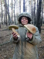 20131020_081812.webp