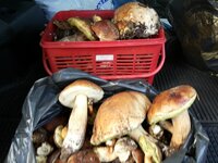 20131020_124123.jpg