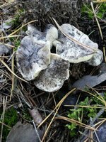 20131020_080723.jpg