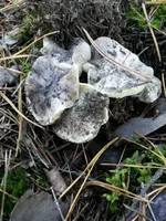 20131020_080723.webp