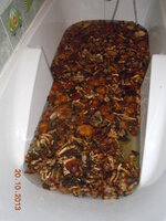 DSCN9449.jpg