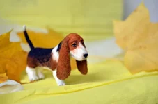 dog-12-2.jpg