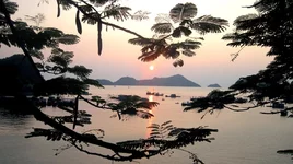 8,8 закат.webp